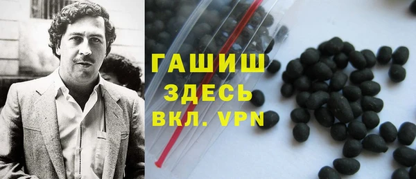 гидра Белокуриха