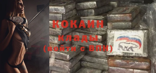прущие грибы Белоозёрский