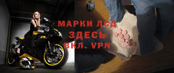 прущие грибы Белоозёрский