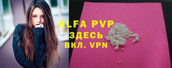 гидра Белокуриха