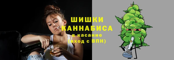 гидра Белокуриха