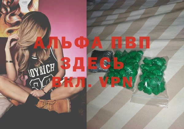 прущие грибы Белоозёрский