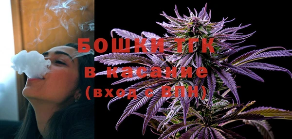гидра Белокуриха