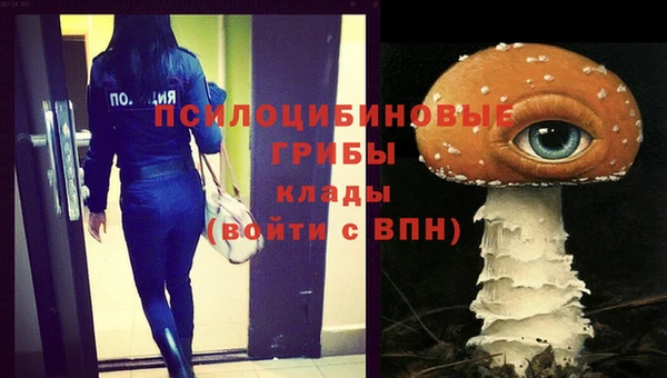 гидра Белокуриха