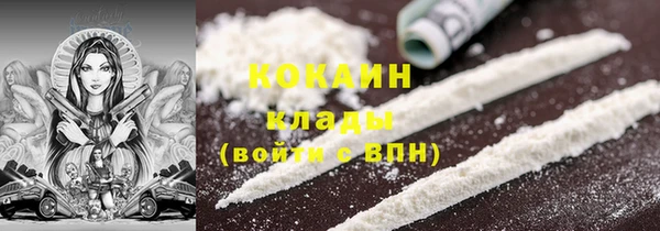 гидра Белокуриха