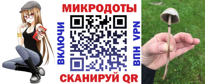Галлюциногенные грибы Psilocybine cubensis Тарко-Сале